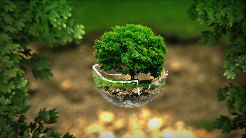 Green Design Hero Image. Fantasy image of a Tree growing in a drop of water to demonstrate low CO2 and NOx emissions