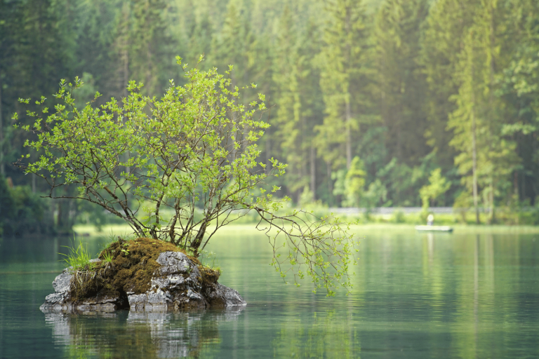 tiny island in a pond as an example of Miura Canada's Environmental promise