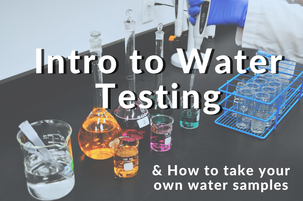 How to take samples for water testing - Intro to Water Testing